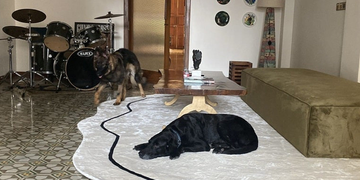 Kids, Pets & High Footfall? These Tufted Rugs Are Built to Handle It All